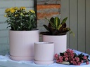 FLUTED CYLINDER PLANTER WITH ATTACHED SAUCER, PASTEL BABY PINK, 7.0"x 7.5", SOLD IN CASE OF 6