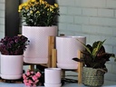 DOTTED CYLINDER PLANTER WITH ATTACHED SAUCER, PASTEL BABY PINK, 11"x11.5", SOLD IN CASE OF 2