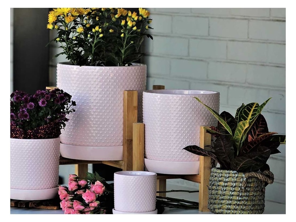 DOTTED CYLINDER PLANTER WITH ATTACHED SAUCER, PASTEL BABY PINK, 5.0"x5.5", SOLD IN CASE OF 8