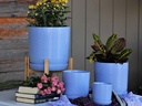 DOTTED CYLINDER PLANTER WITH ATTACHED SAUCER, PASTEL LAVENDER, 7.0"x 7.5", SOLD IN CASE OF 6