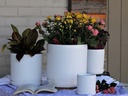 FLUTED CYLINDER PLANTER WITH ATTACHED SAUCER, BRIGHT WHITE, 5.0"x5.5", SOLD IN CASE OF 8
