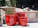 CANA GARDEN PLANTER, LAVISH RED, SET OF 4- 24"X20", 19"X17", 16"X13", 12"X10"