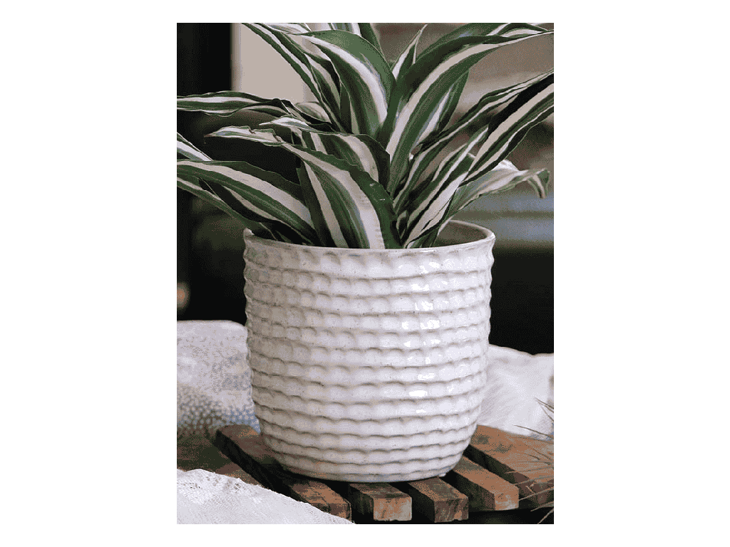 HONEYCOMB PLANTER, SEASHELL, 9"x8.5" SOLD IN CASE OF 4