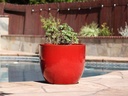 EGG SHELL POTS, LAVISH RED, SET OF 4  22.5" X 18.0", 17.5" X 15.0", 14.0" X 12.0", 11.5" X 12.0"