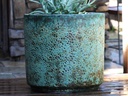 REDONDO PLANTER MID, CORAL GEM GREEN, SET OF 4-19.5"X18.0", 17.0"X15.5", 15.0"X14.0", 13"X12.5"