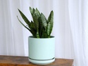 MID MODERN PLANTER WITH DETACHED SAUCER, TEAL GREEN SATIN, 10.0"X9.0", 10.0"X2.0"