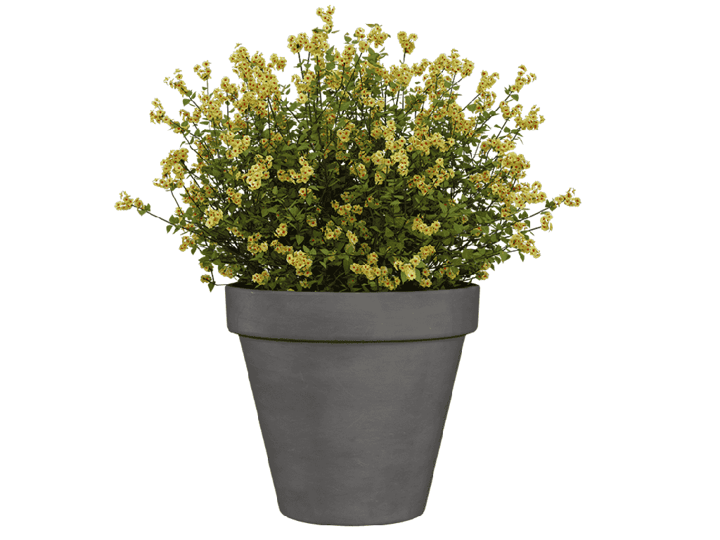 AMÁLIA POT, VOLCANO, 6"X5"