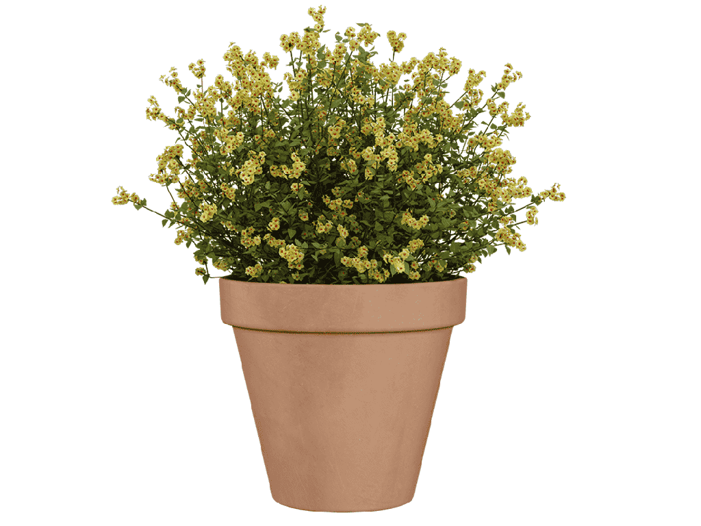 AMÁLIA POT, ANTIQUE, 7.5"X6.5"