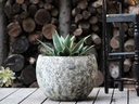 LOW MILANO PLANTER, CORAL GREY, SET OF 3-21.5" X 15.5", 16.0" X 12.0", 12.0" X 10.0"