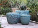 COCO POTS, CORAL GROVE, SET OF 4-23"X20", 19"X17", 15'X13", 12"X11"