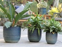 GARDENIA PLANTER, INDIGO SPLASH, SET OF 3, 15"X13.5"  12"X11" 10"X9"