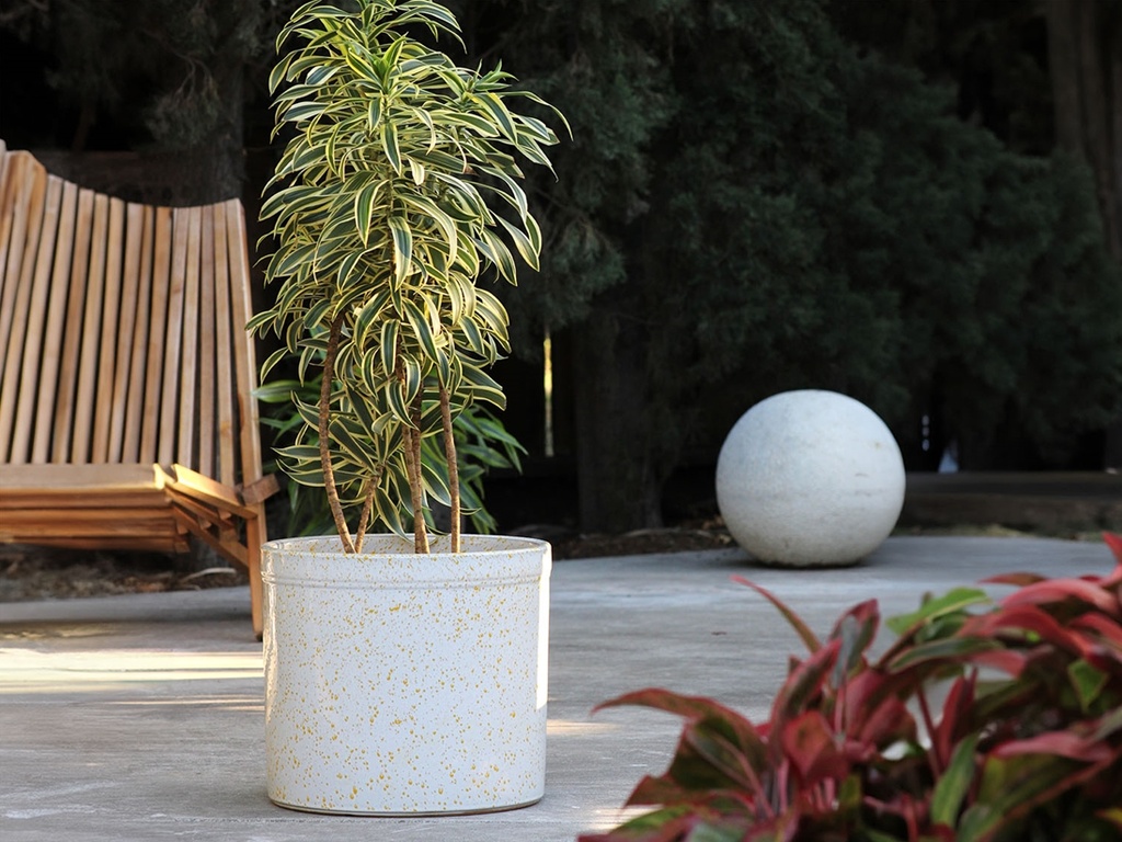 SPROUT POT, HONEY SPLASH, SET OF 3,  15"X13.5"  12"X11" 10"X9"