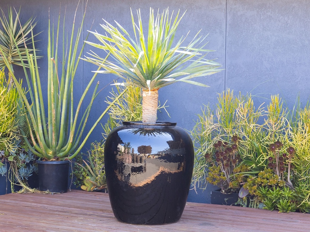 PATTAYA JAR, BLACK, 35.5"x36.5"
