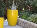 TALL BARREL PLANTER, NO RIM, SET OF 2- CANARY YELLOW, 22"X32.5" 18"X26"