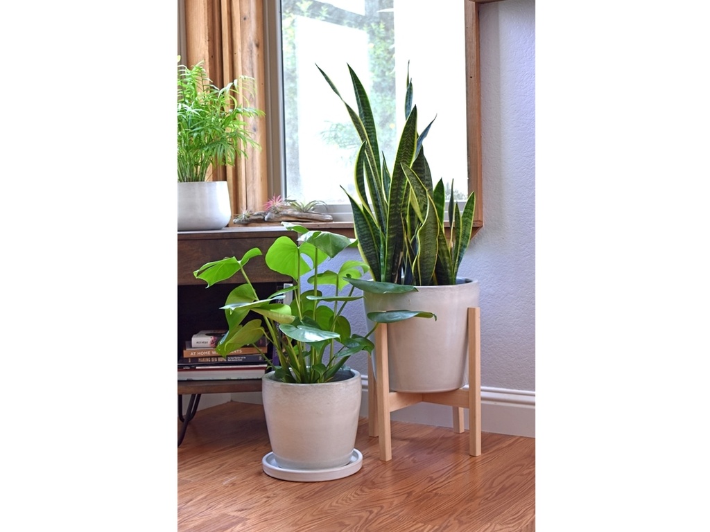 BUTTERCUP, WHITE SATIN, SET OF 3- 16.0" X 14.0", 13.0" X 12.0", 10.0" X 9.5"