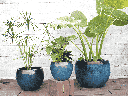 LOW MILANO PLANTER, GREEN  MIRAGE, SET OF 3 - 21.5" X 15.5", 16.0" X 12.0", 12.0" X 10.0"