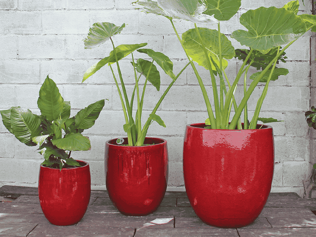 TALL MILANO PLANTER, LAVISH RED, SET OF 3-22.0" X 23.5" 17.0" X 18.5" 12.5" X 14.0"