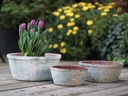 TUSCAN VILLAGE HAND THROWN ENGLISH TUMBLED POTS LOW, ATLANTIS SKY, SET OF 3 - 15.0" X 7.0", 13.0" X 6.0", 10.0" X 4.5"
