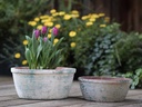 TUSCAN VILLAGE HAND THROWN ENGLISH TUMBLED POTS LOW, ATLANTIS SKY, SET OF 3 - 15.0" X 7.0", 13.0" X 6.0", 10.0" X 4.5"