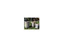 MILANO TALL BARREL PLANTER, ATLANTIS SKY, SET OF 3 - 18.5" X 23.0", 14.5" X 19.0", 11.0" X 17.0"