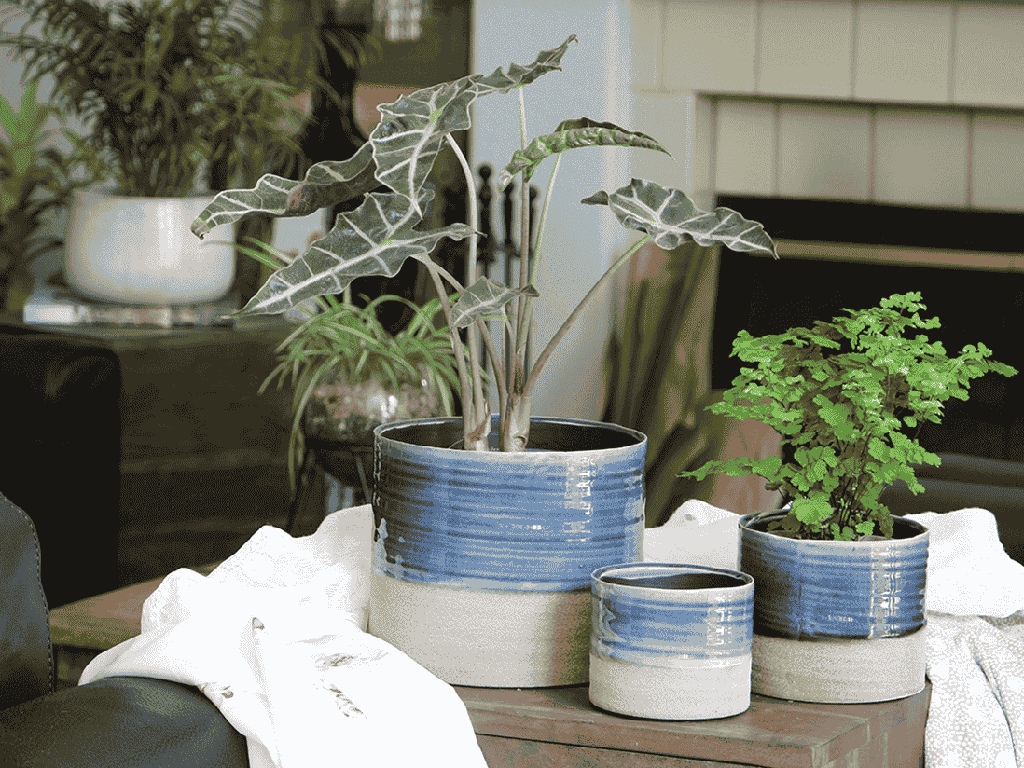 JEWEL MUG PLANTER, NATURAL BLUE, 7.0"X6.5", SOLD IN CASE OF 4