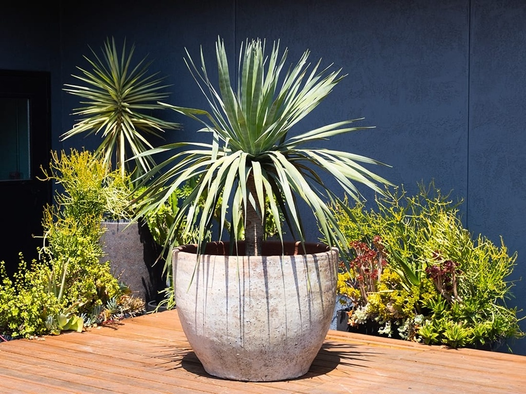 XLG RIMLESS PARCO PLANTER, HEIRLOOM WHITE, SET OF 3 - 35.0" X 29.0", 29.0" X 24.0", 22.0" X 18.0", ABC