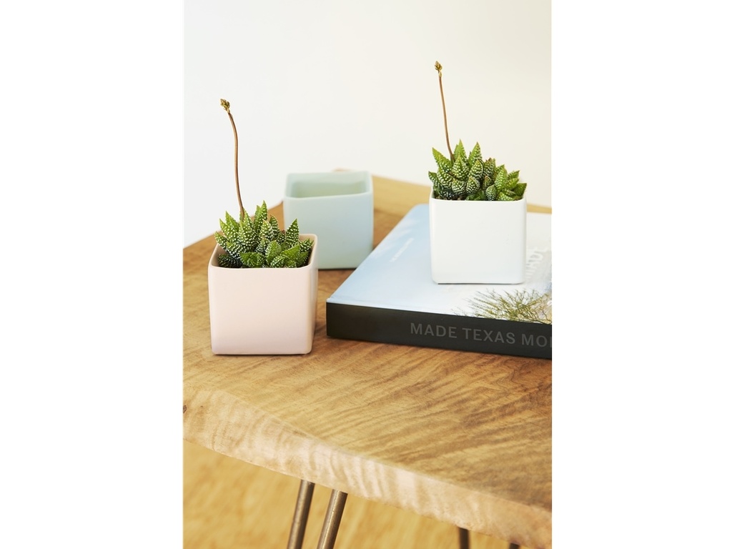 CUBE CACHE POT, MIXED COLOR, 2.5"X2.5", SOLD IN CASE OF 12