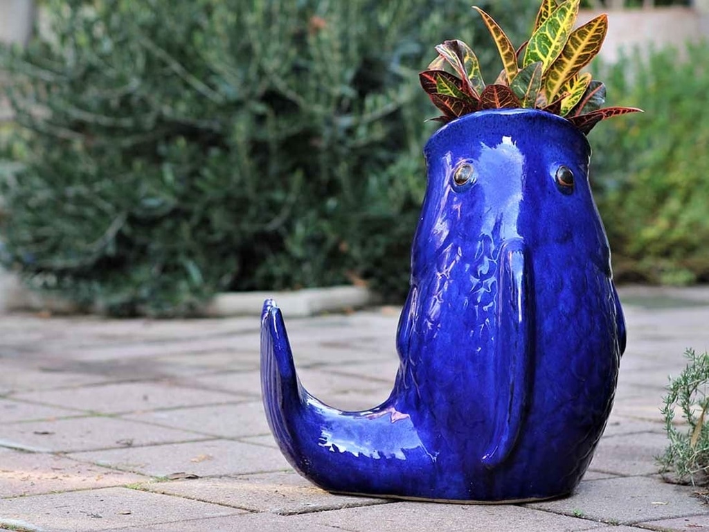 LEAPING CARP, FALLING BLUE 14.5"X14.5"X15"