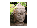 MEDIUM BUDDHA HEAD, STONE BROWN, SIZE B, 14"X 20"