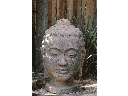LARGE BUDDHA HEAD, STONE BROWN, SIZE A, 17.5" X 30.5"