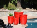 TALL GARDEN POT, LAVISH RED, SET OF 3- 19.5"X21.5", 15.5"X17.0", 11.5"X13.5"