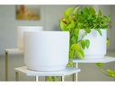 LARGE COMET PLANTER , CLOUD WHITE, SET OF 3- 12"X10" 10"X8.5" 8"X8"