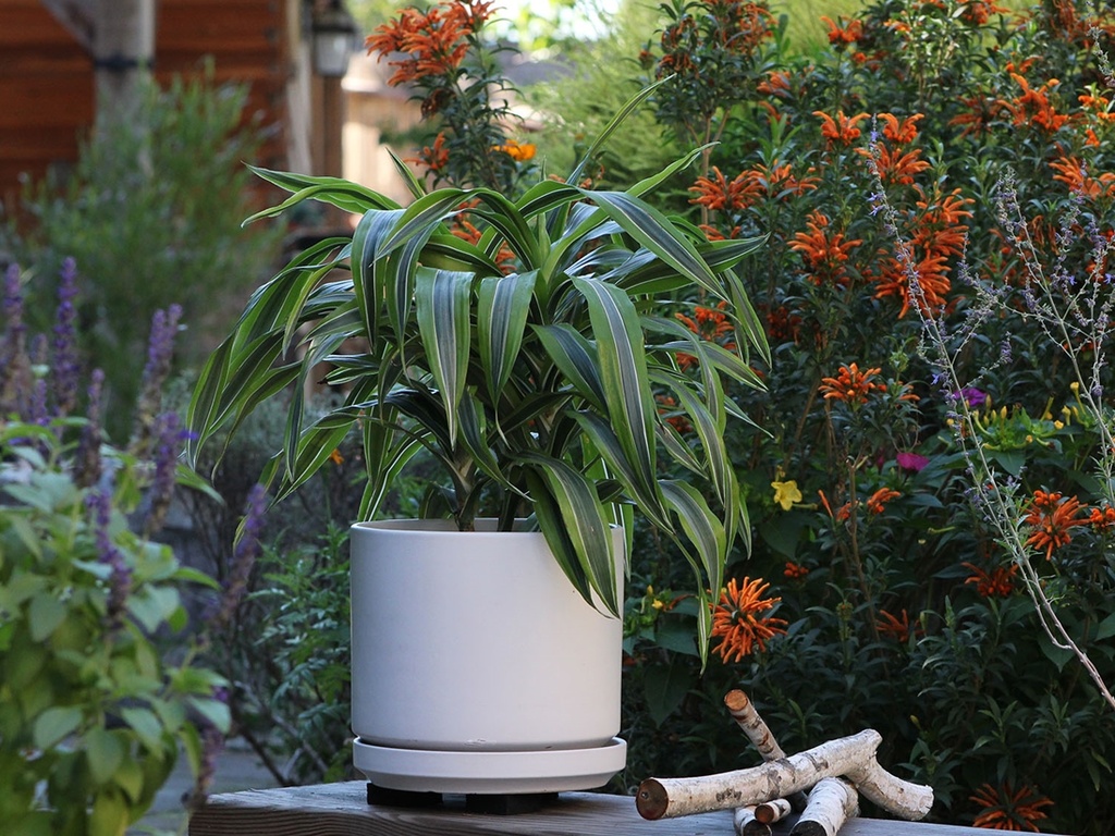 MID MODERN PLANTER WITH DETACHED SAUCER, CLOUD WHITE, 10.0"X9.0", 10.0"X2.0"