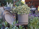 MID MODERN PLANTER WITH DETACHED SAUCER, HEATHER GREY, 12.0"X10.5", 12.0"X2.5"