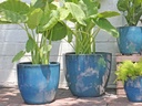 COCO POTS, GREEN , SET OF 3-19"X17", 15'X13", 12"X11"