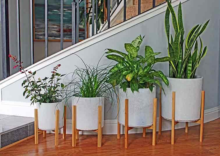 MID MODERN MEDIUM STAND FOR PY-5178, 12.0"X13.0", SOLD IN CASE OF 4