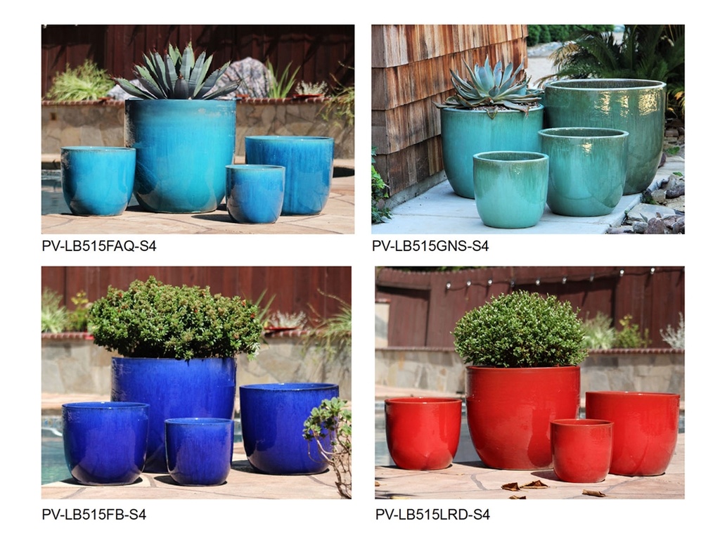 VIBRANT EGG SHELL COLLECTION