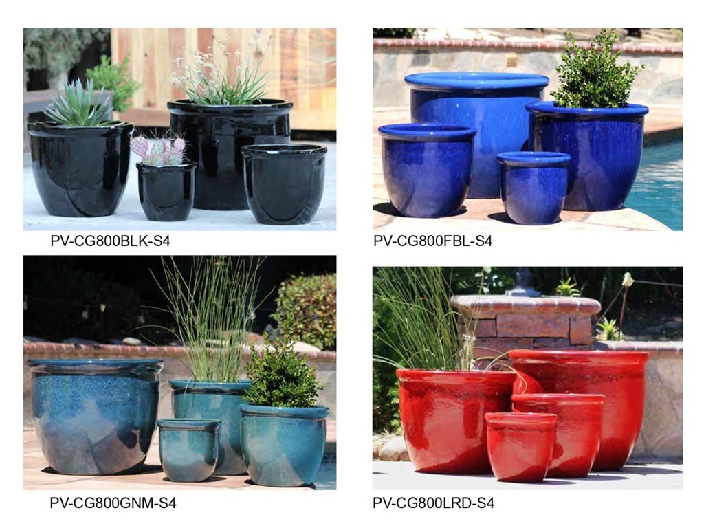 [BP-26-0027] CANA GARDEN ASSORTMENT