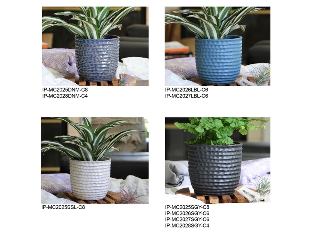 SEASONAL COLOR ASSORTMENT