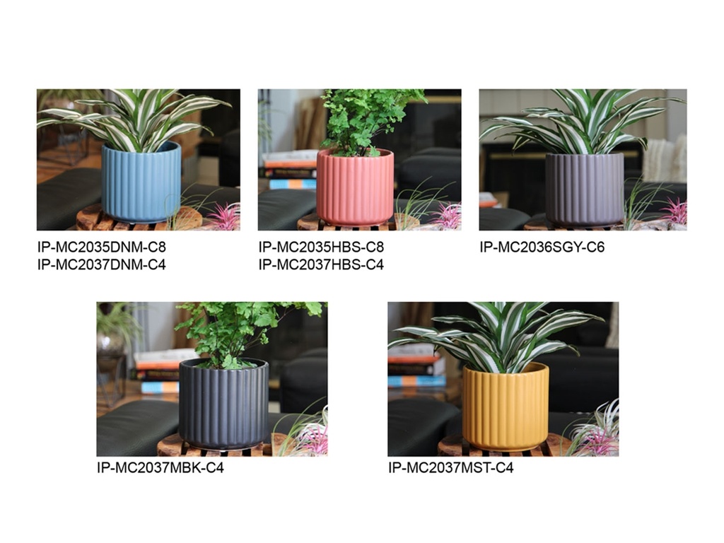 RIBBED COLOR CLASSICS