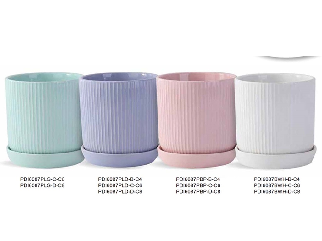 CLEAN LINES COLLECTION