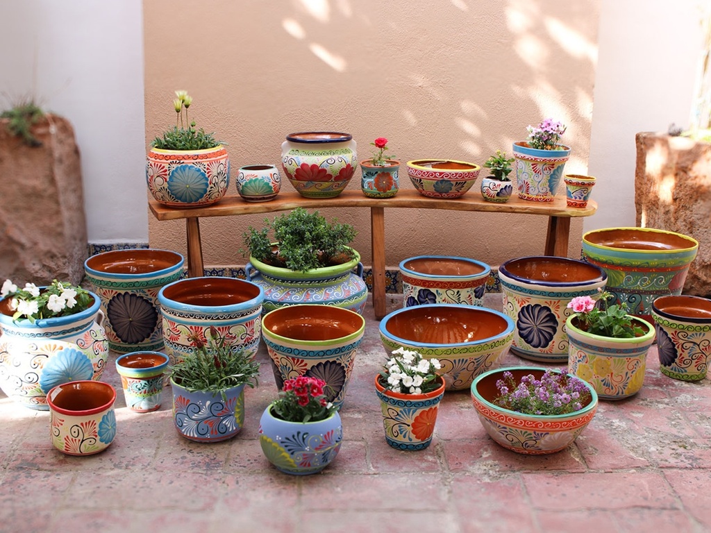 [BP-26-0831] TIERRA LUZ PLANTA COMBO