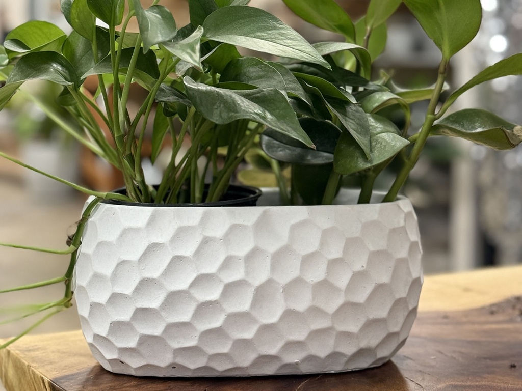 AVENUE ART DÉCOR HONEY COMB OVAL, CONCRETE LIGHT GREY, 8.5"x4.5"x4.0", SOLD IN CASE OF 8