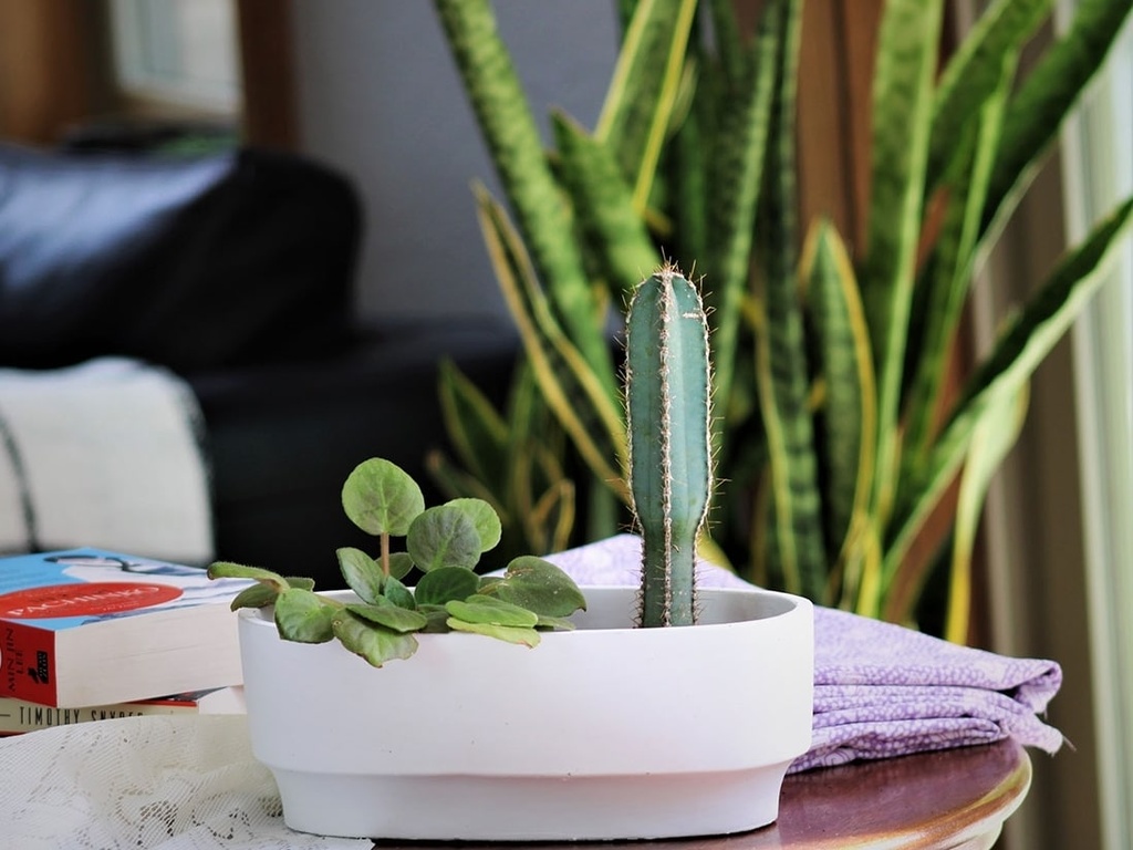 [IC-0047BLW-C6] ART DÉCOR OVAL PLANTER, BLANK WHITE, 9.5"X4.5"X3.5" SOLD IN CASE OF 6