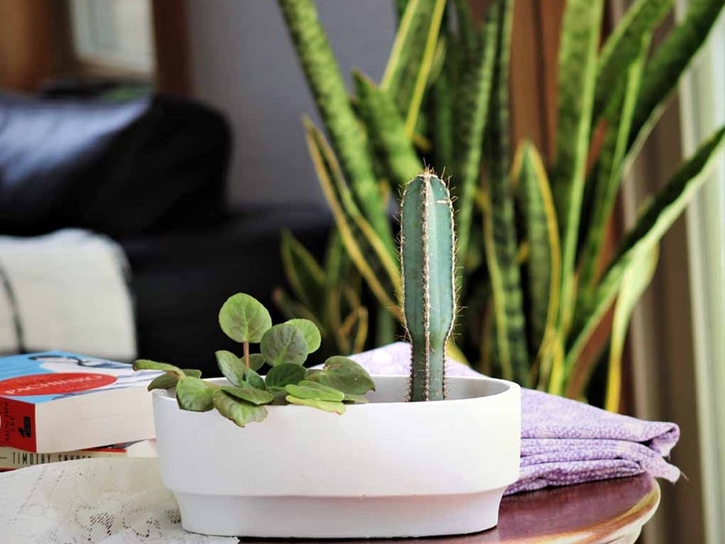 [IC-0048BLW-C8] ART DÉCOR OVAL PLANTER, BLANK WHITE, 8.0"X4.0"X3.0" SOLD IN CASE OF 8