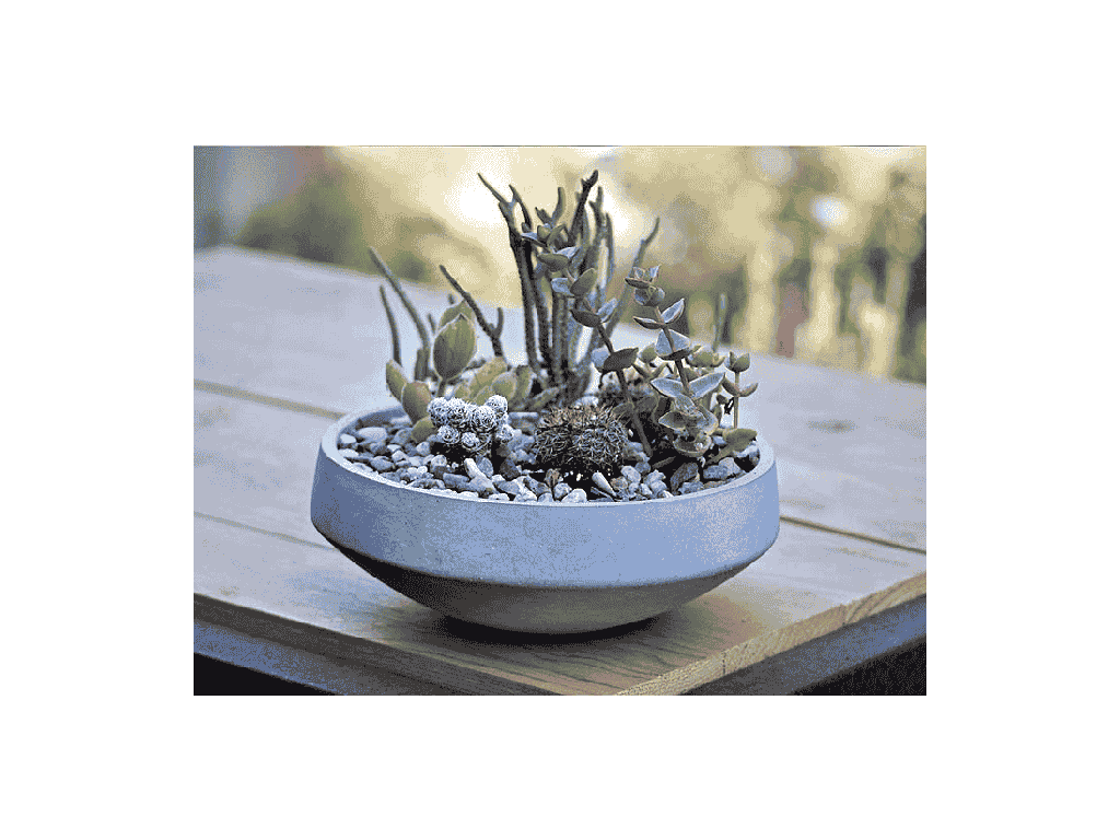 GEOMETRY LOW SPHERE PLANTER, POLISHED CONCRETE, 8"x3", SOLD IN CASE OF 4