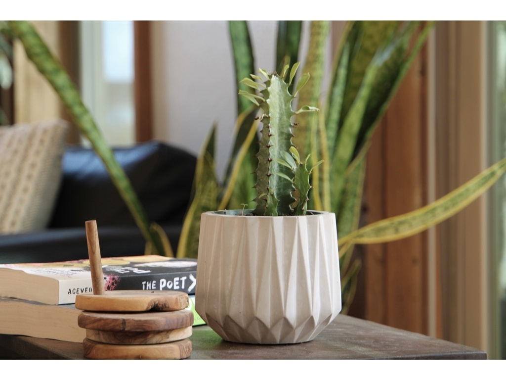 GEOMETRY AURORA TUMBLER PLANTER, POLISHED CONCRETE, 5"x4.5", SOLD IN CASE OF 12