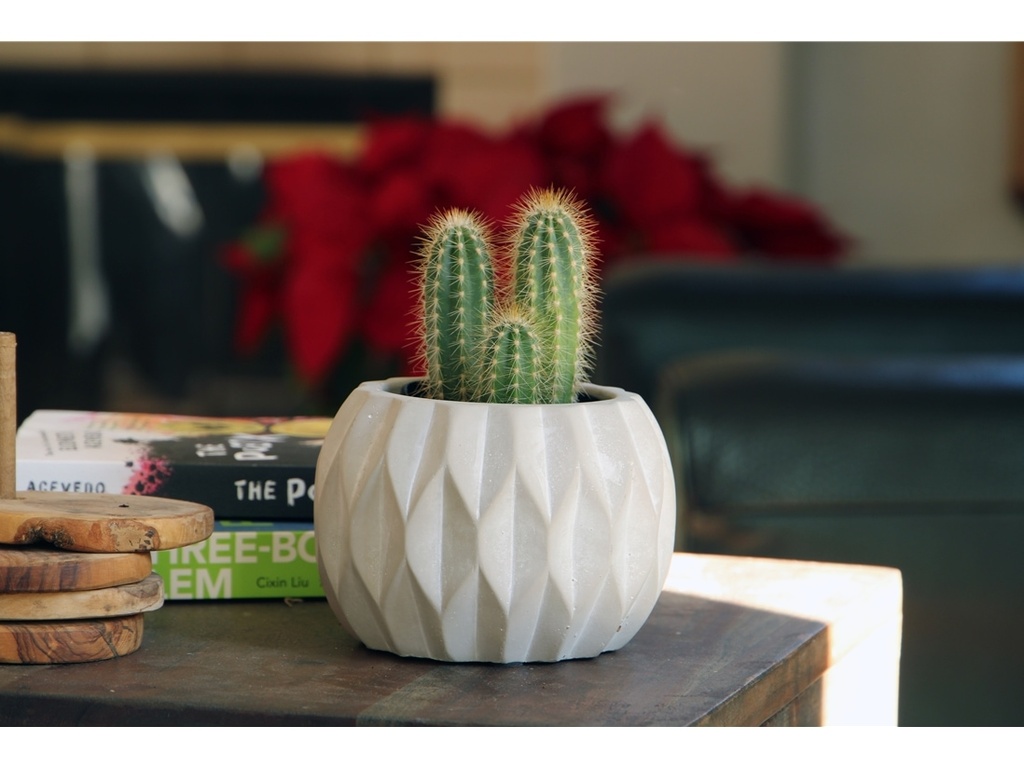 [IC-0241PCC-C12] GEOMETRY DIAMOND TWIRL PLANTER, POLISHED CONCRETE, 5.5"x3.5", SOLD IN CASE OF 12