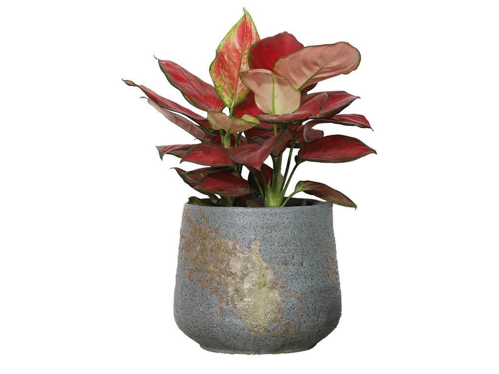[IP-DG2250BLR-B-C2] ROUND HAND FORMED PLANTER, BLUE STONE RUST, 7.5"X6.5", SOLD IN CASE OF 2