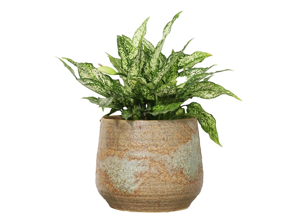 [IP-DG2250BRR-A-C2] ROUND HAND FORMED PLANTER, BROWN STONE RUST, 9.5"X8.0", SOLD IN CASE OF 2